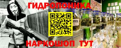 гидропоника Партизанск