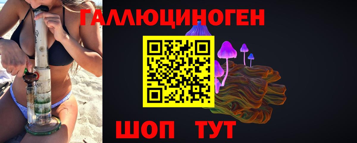 Чайковский  Псилоцибиновые грибы Psilocybine cubensis  Вход с VPN 